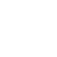 LIGUE 1